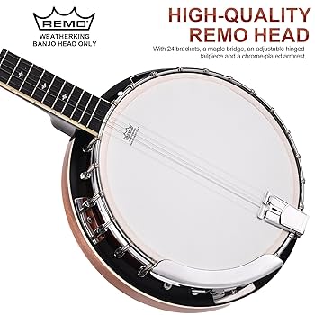 最終値下げ！5弦バンジョー Amazon.co.jp: ARIA アリア 5弦バンジョー REMO Banjo Head SB
